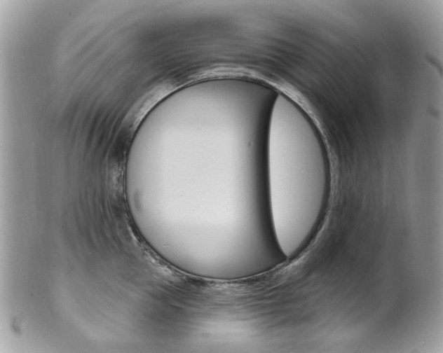 X0000101420953200807071028