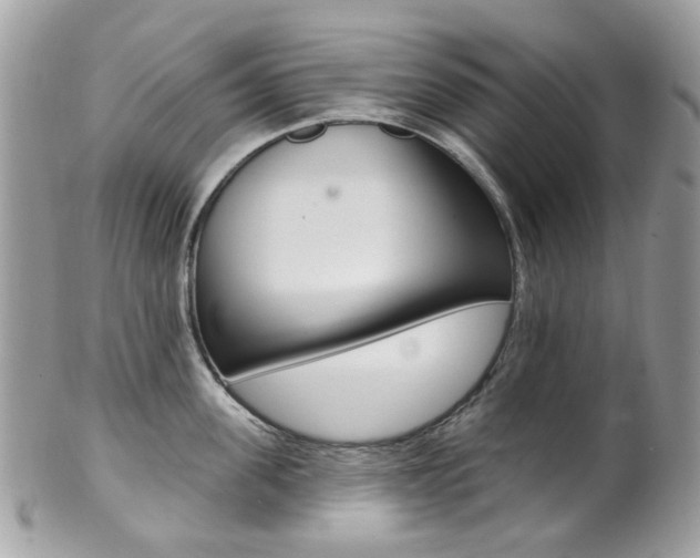 X0000101420955200807071028