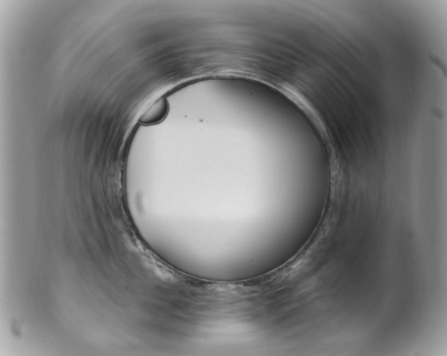 X0000101420956200807071028