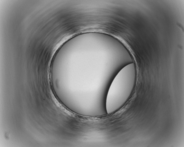 X0000101420957200807071028