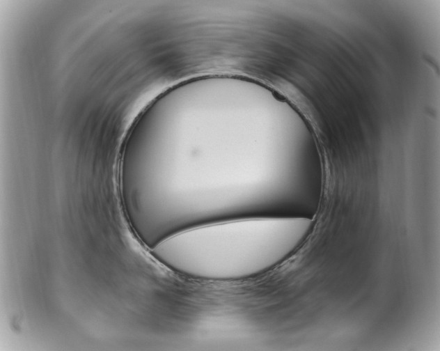 X0000101420958200807071028