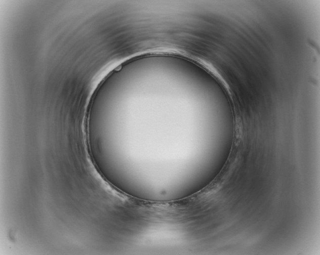 X0000101420959200807071028