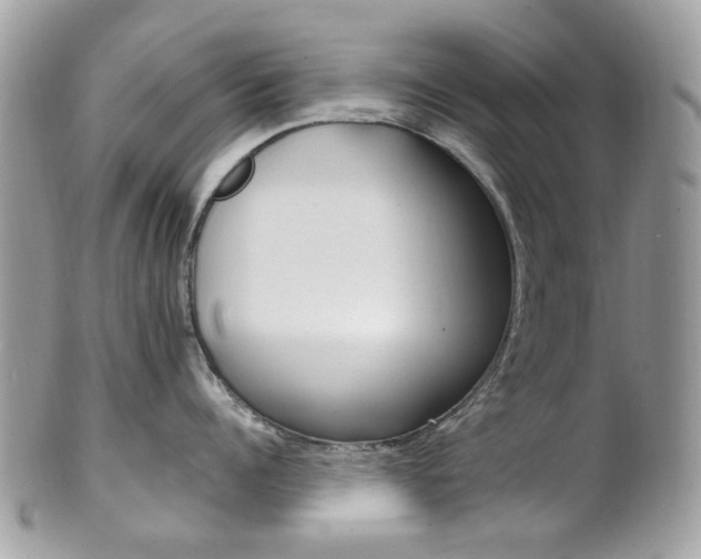 X0000101420960200807071028