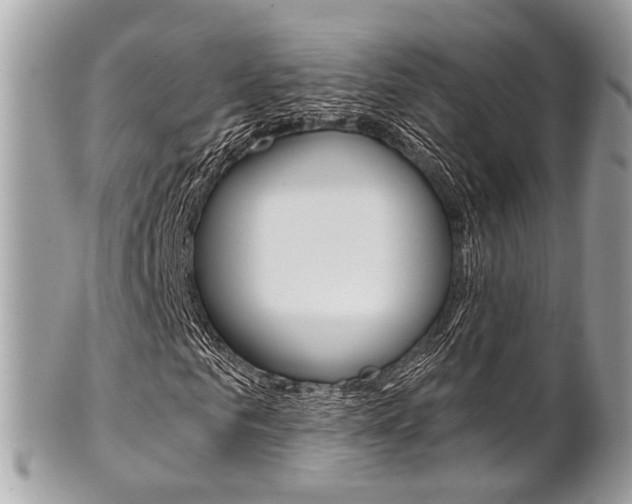 X0000101420961200807071027