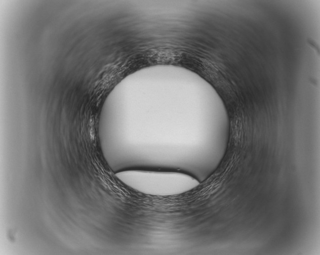X0000101420962200807071027