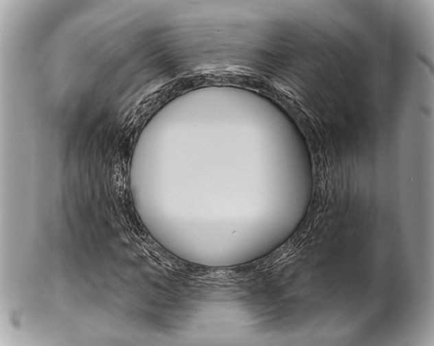 X0000101420966200807071027