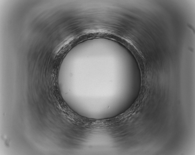 X0000101420967200807071027