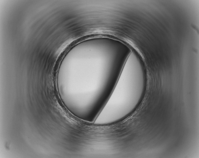 X0000101420972200807071027