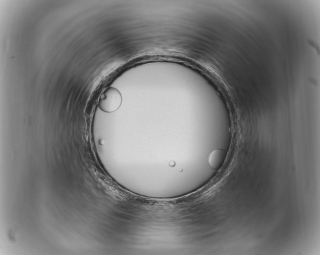 X0000101420974200807071027