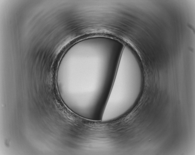 X0000101420975200807071027