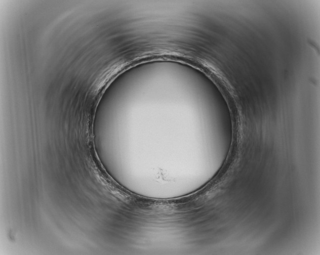 X0000101420977200807071027