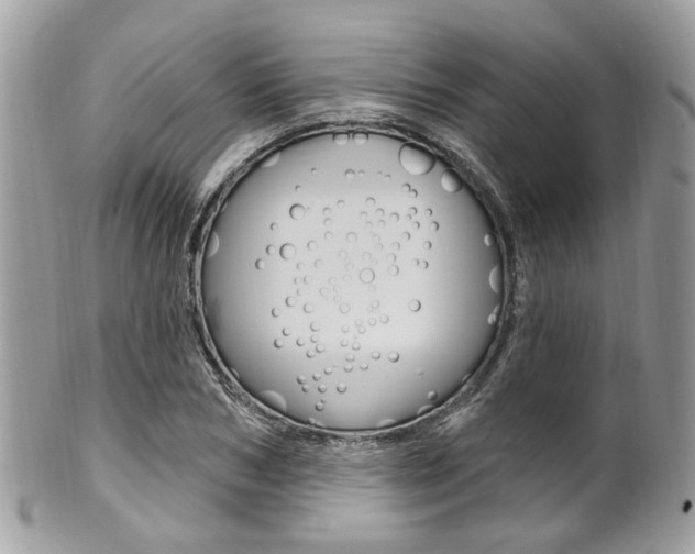 X0000101420978200807071027