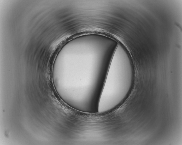 X0000101420979200807071027