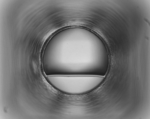 X0000101420980200807071027