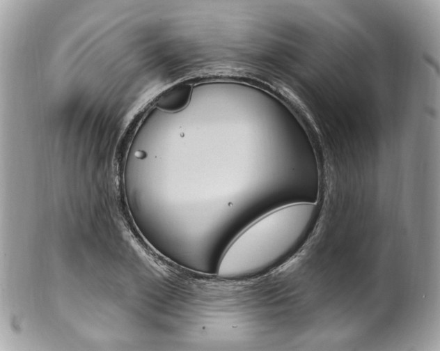 X0000101420981200807071027
