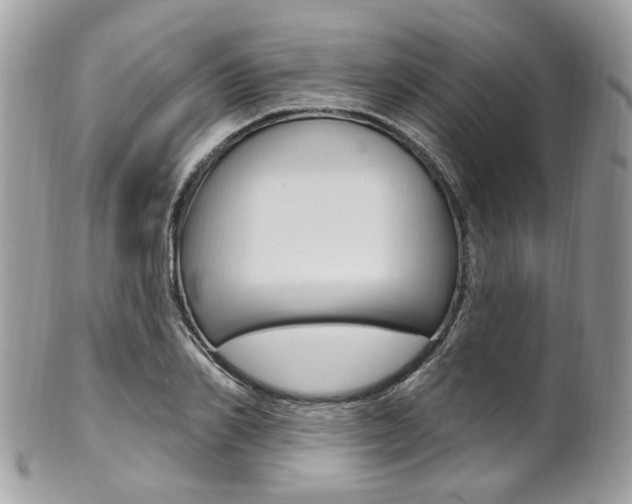 X0000101420982200807071027