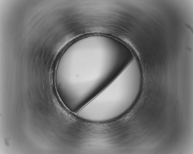 X0000101420983200807071027