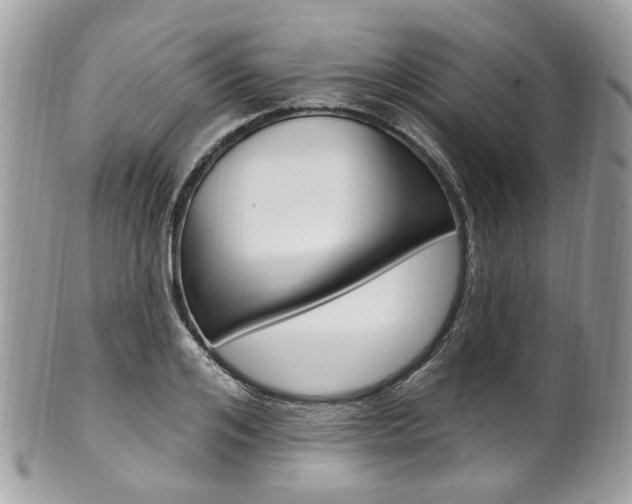 X0000101420984200807071027