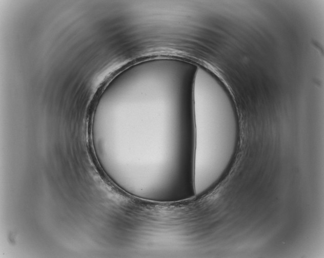 X0000101420987200807071027
