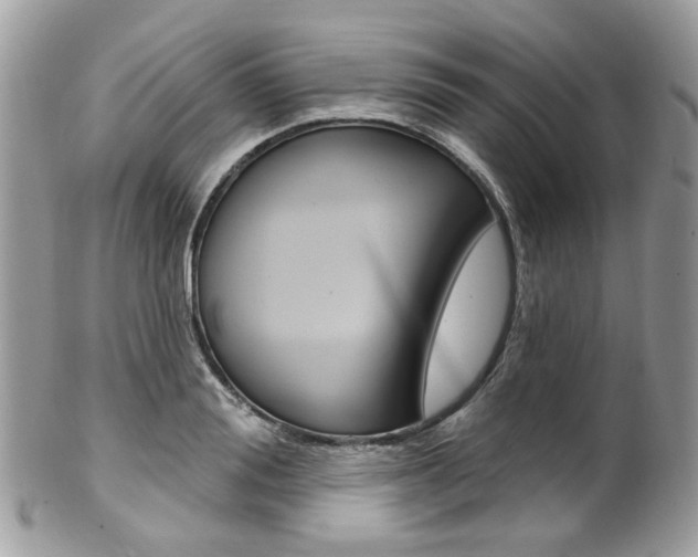 X0000101420988200807071027