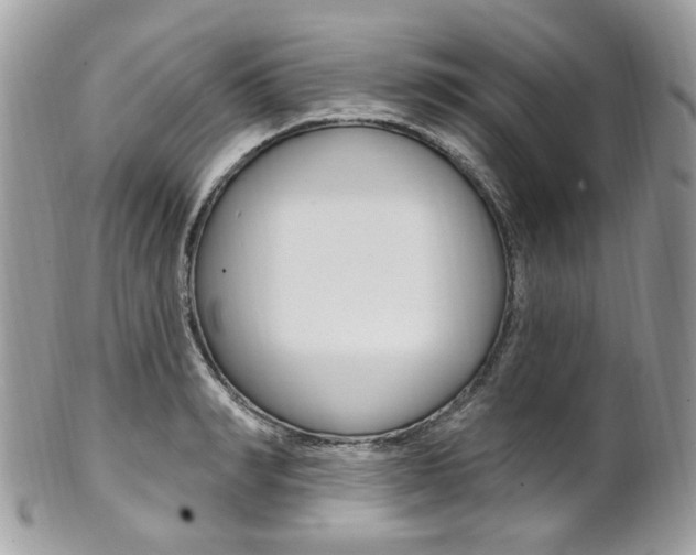 X0000101420990200807071027