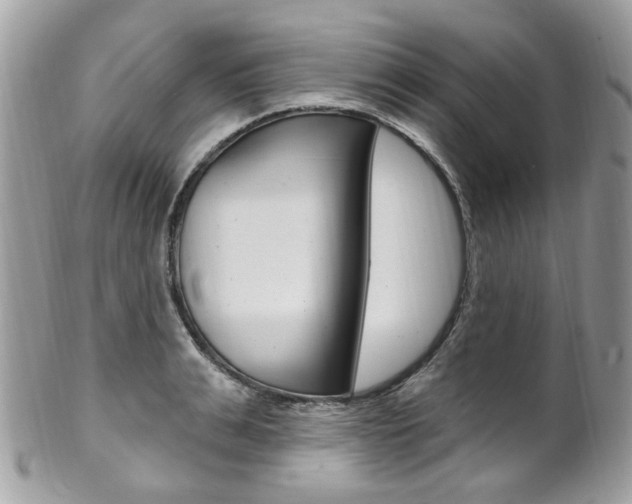 X0000101420991200807071027