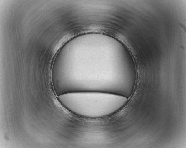 X0000101420994200807071027