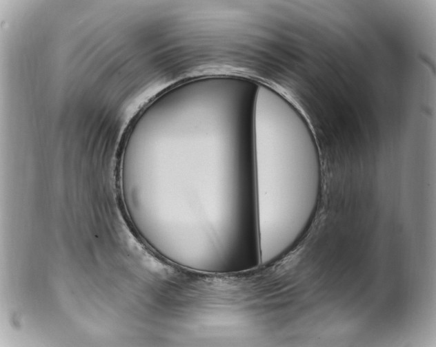 X0000101420995200807071027