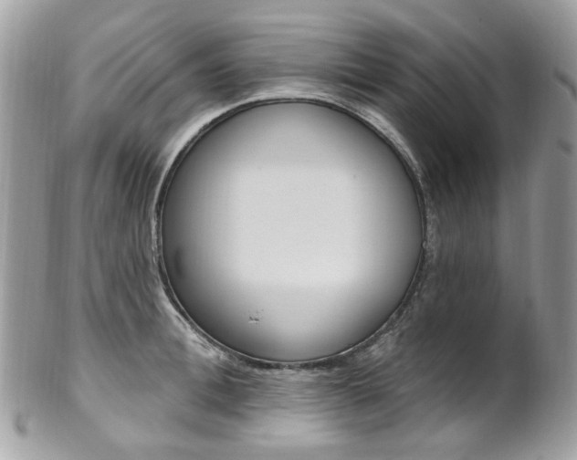 X0000101420996200807071027