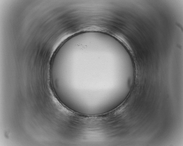 X0000101421000200807071026