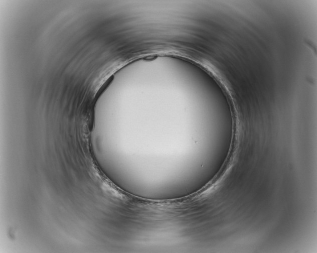 X0000101421001200807071026