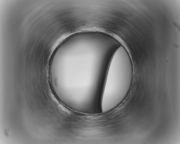 X0000101421005200807071026