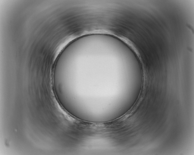 X0000101421006200807071026