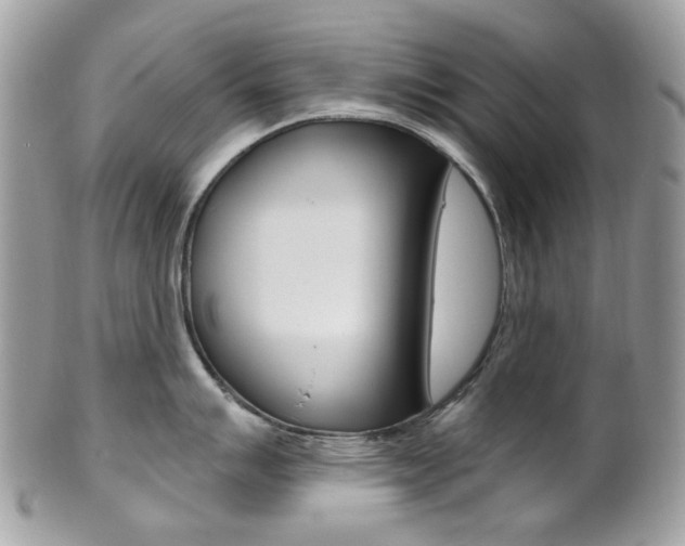 X0000101421007200807071026