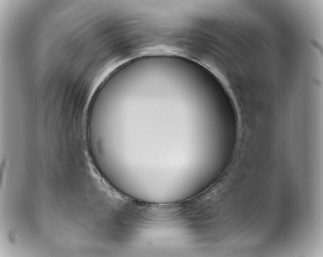 X0000101421008200807071026