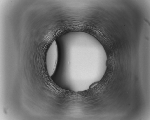 X0000101421009200807071026