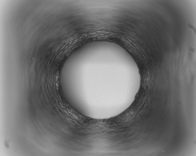 X0000101421010200807071026