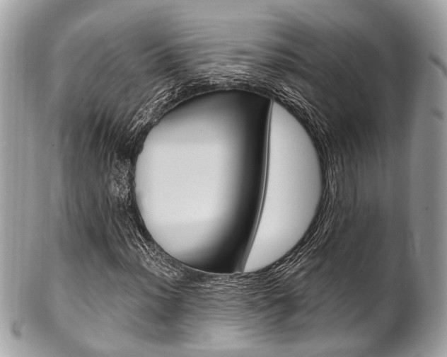 X0000101421012200807071026