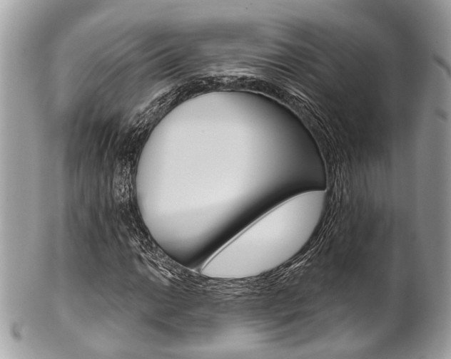 X0000101421014200807071026