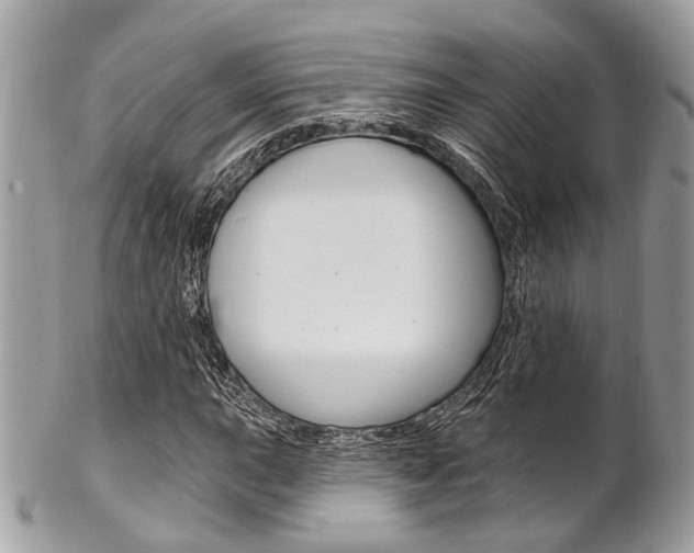 X0000101421015200807071026