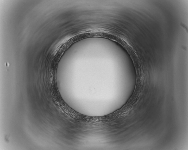 X0000101421016200807071026