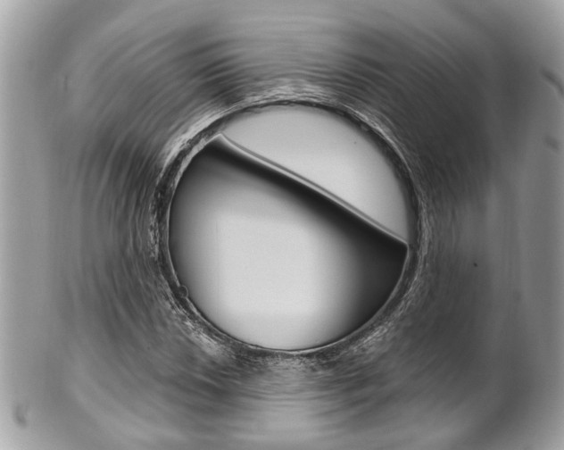 X0000101421018200807071026