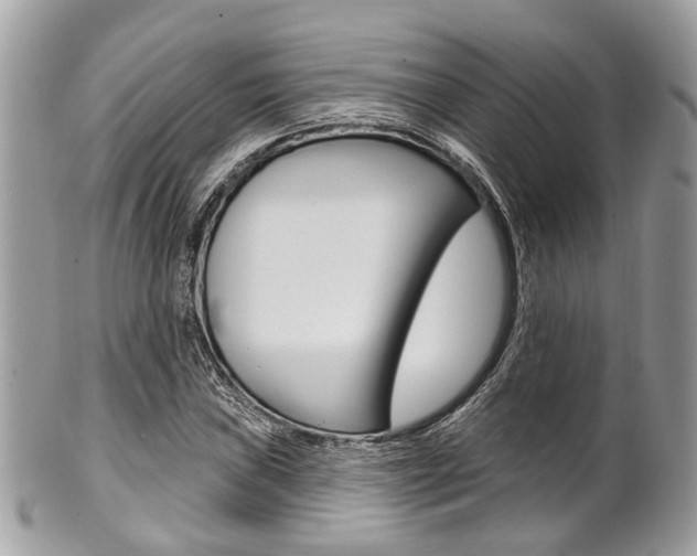 X0000101421019200807071026