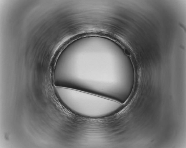X0000101421021200807071026