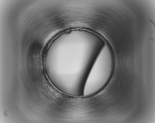 X0000101421022200807071026