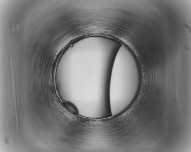 X0000101421023200807071026
