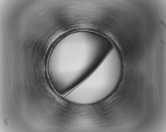 X0000101421024200807071026
