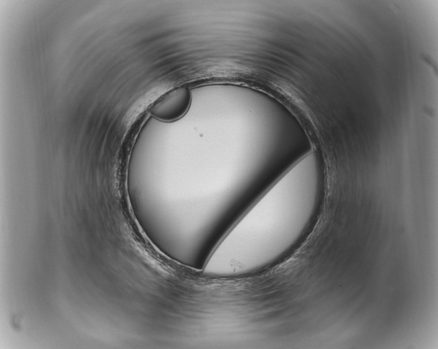 X0000101421026200807071026