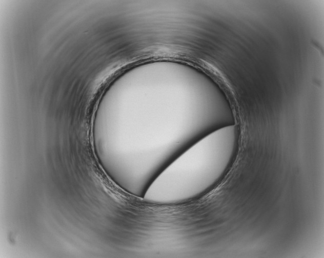 X0000101421027200807071026