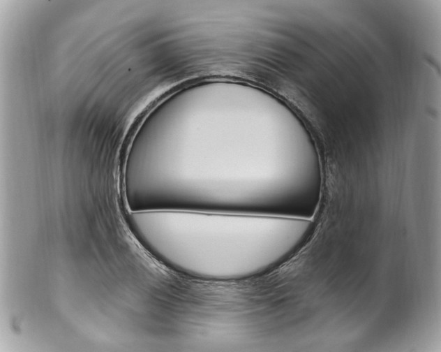 X0000101421028200807071026